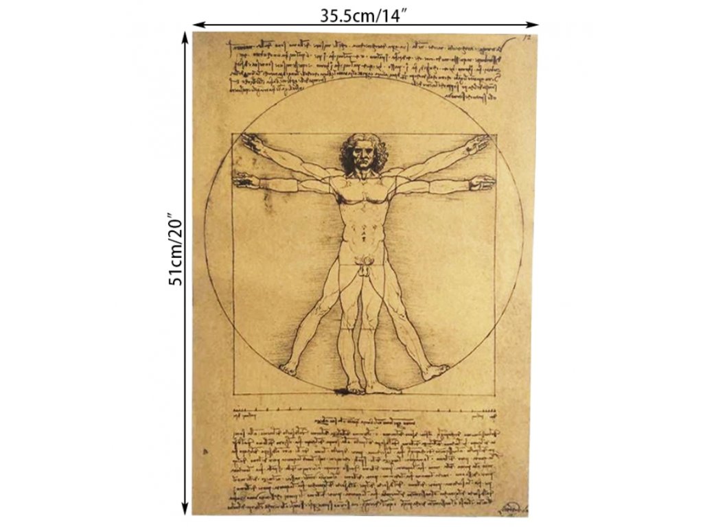 Plakát Leonardo Da Vinci