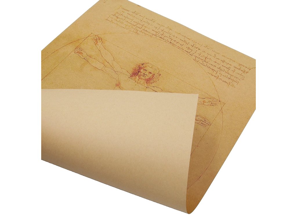 2747_Plak_t_Leonardo_Da_Vinci_2