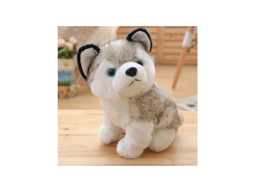 2607_Ply__k_Pes__t_n_tko_Husky_MAIN