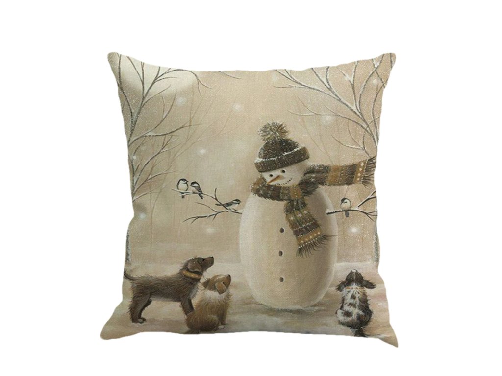 3596_45x45cm_v_no_n__Povlak_na_pol_t___2