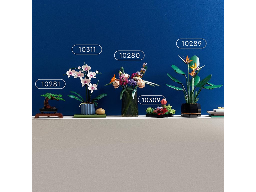6354_LEGO_10309_Sada_botanick_ch_sb_rek_sukulentn_ch_ro_4