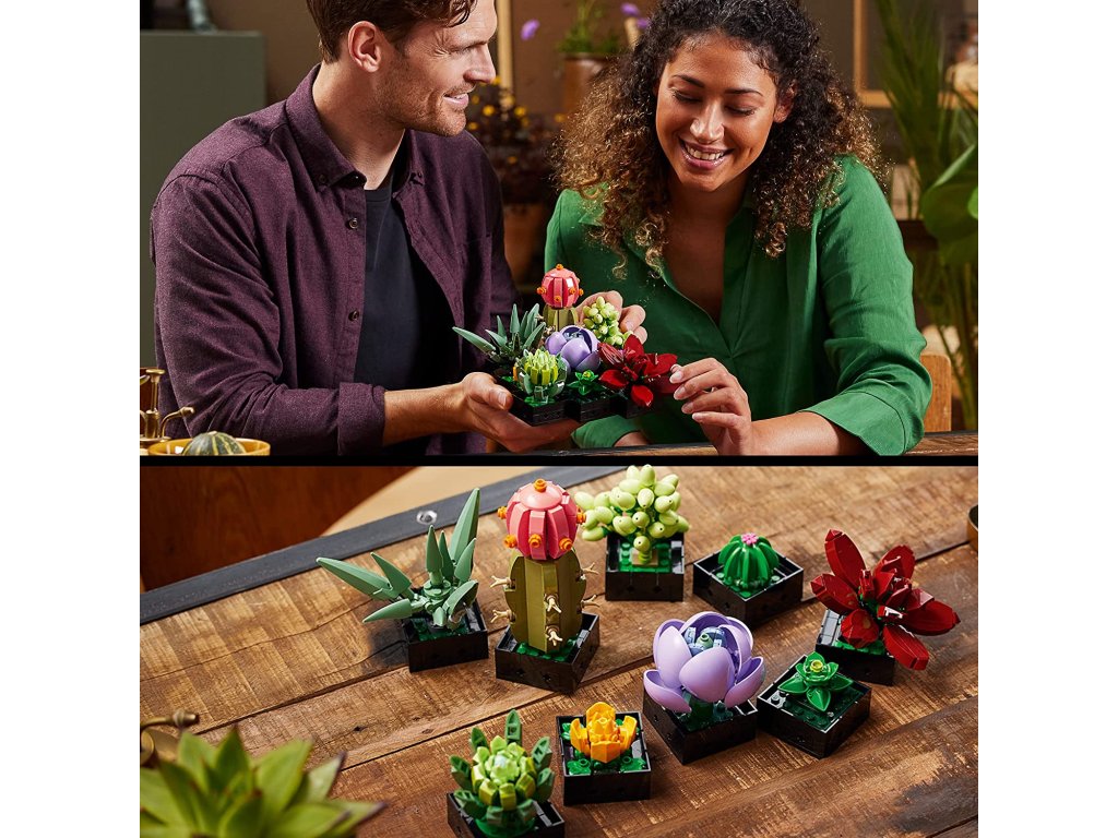 6354_LEGO_10309_Sada_botanick_ch_sb_rek_sukulentn_ch_ro_3