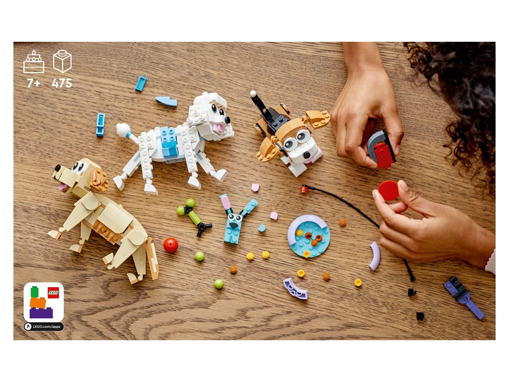 6381_LEGO_31137_Creator_3v1_Roztomil__pes_velikono_n__d_3