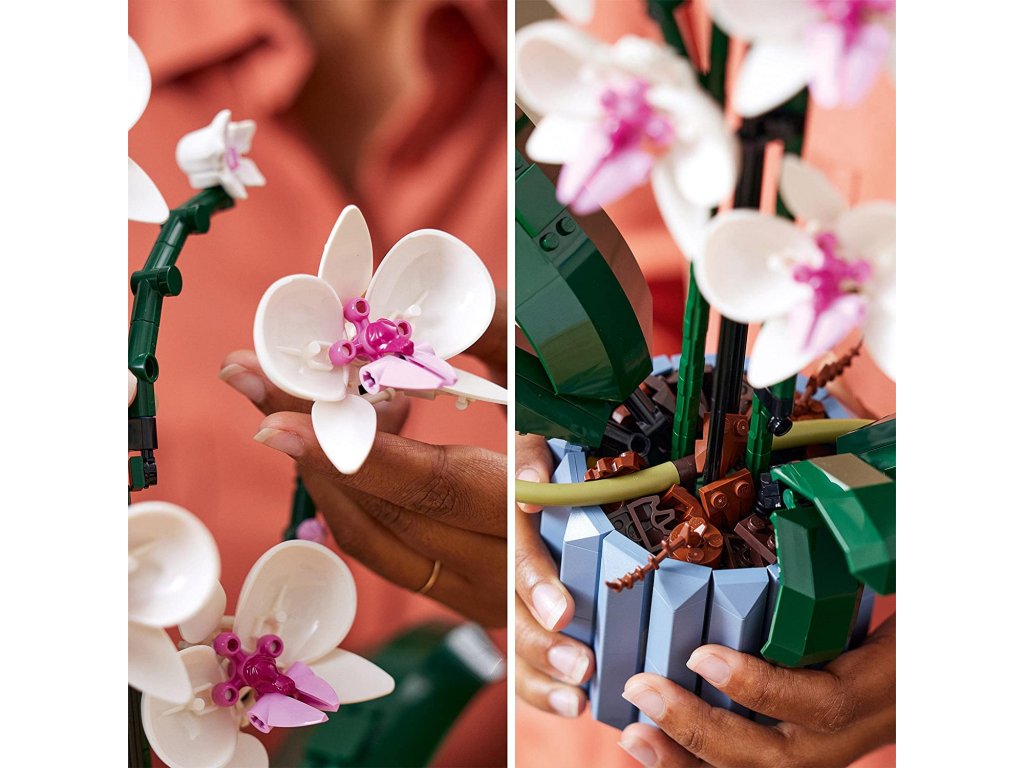 6090_Sada_LEGO_10311_Icons_Orchidej_7