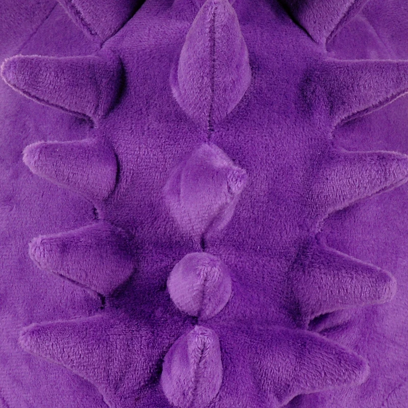 image_005