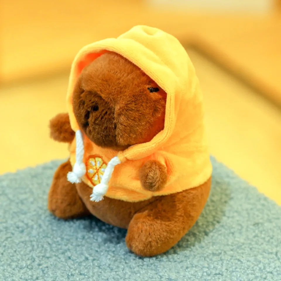 image_005