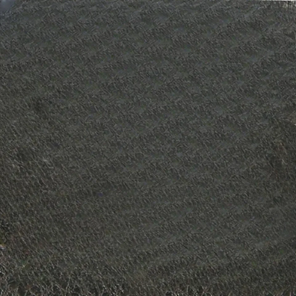 image_006