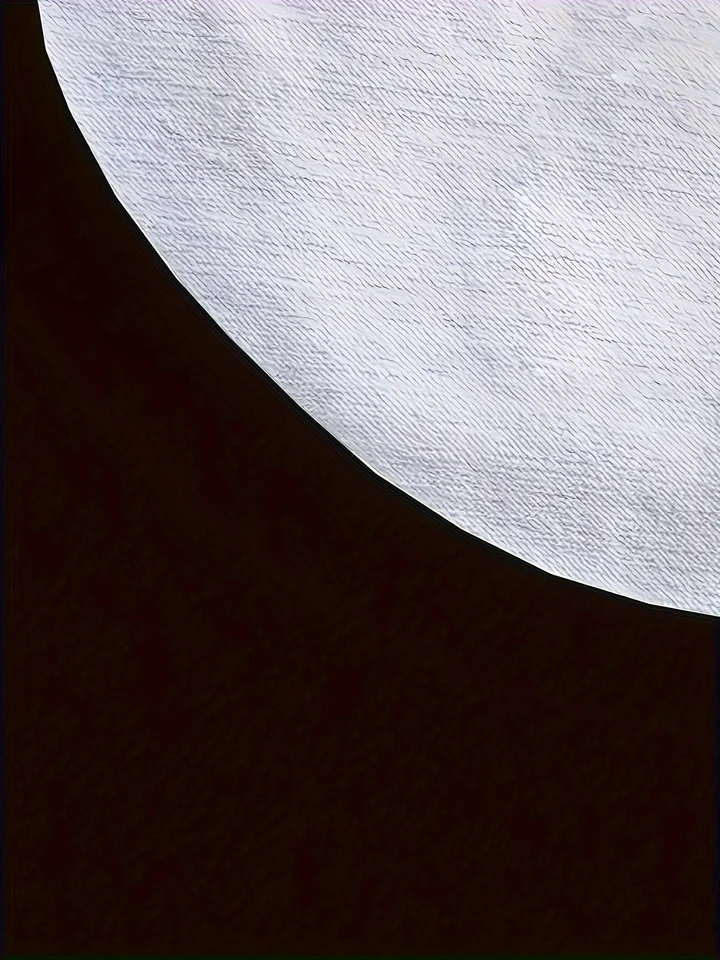 image_004