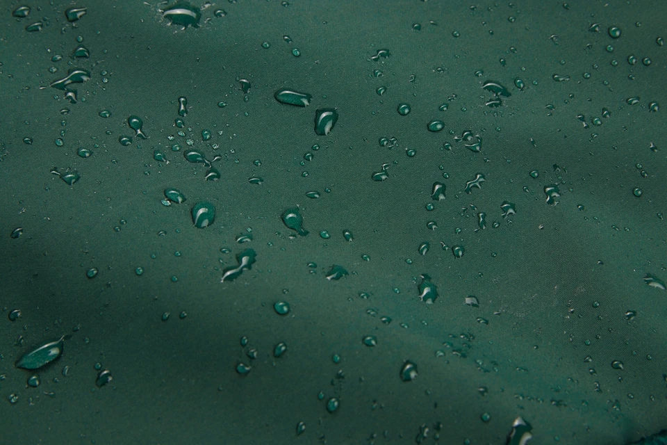 image_006